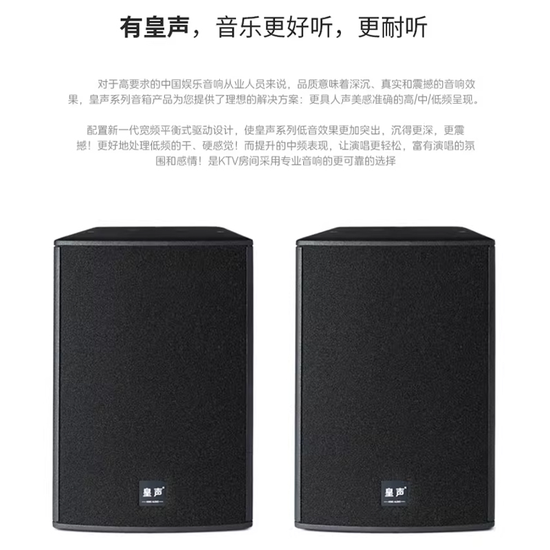 皇声C15音箱